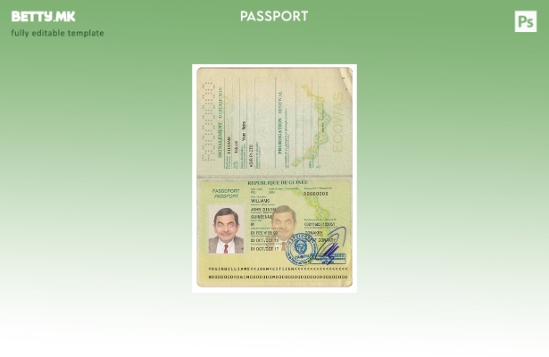 Шаблон за верзија на пасош на Гвинеја во модерен стил